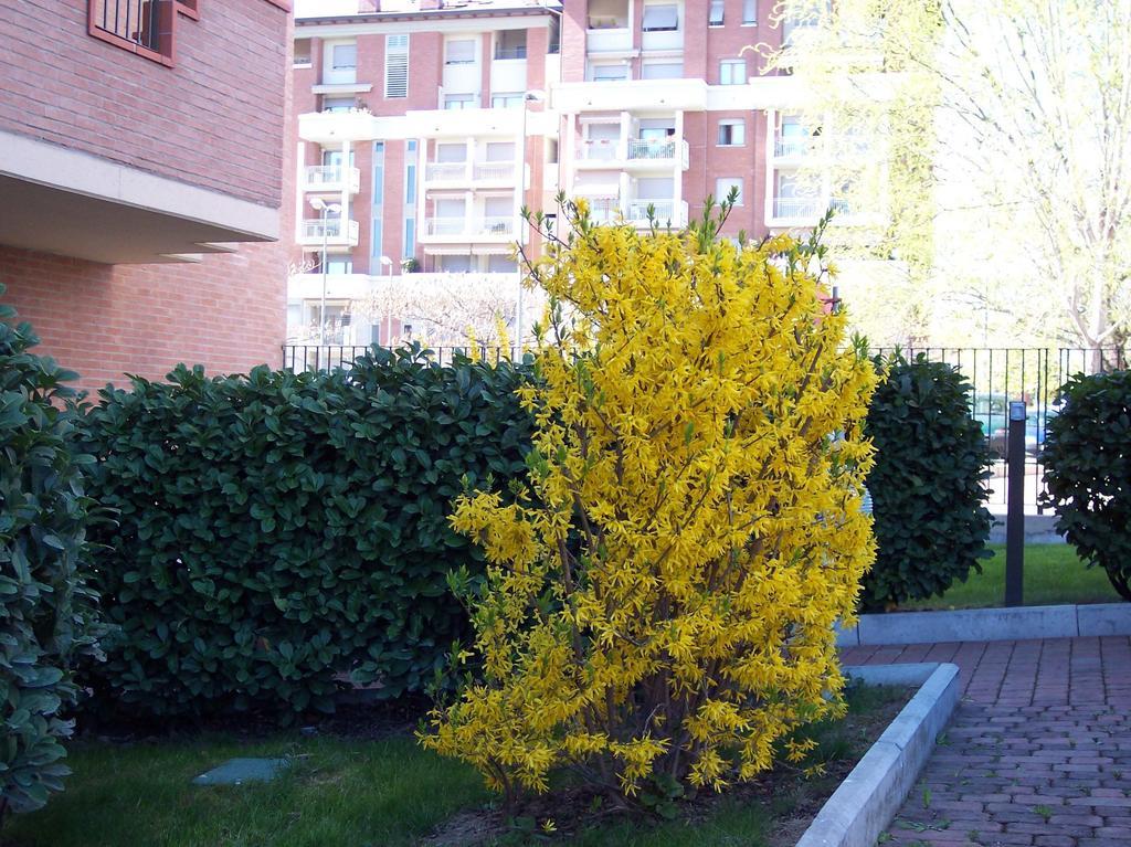 B&B Il Parco Parma Exterior photo